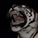Telegram profile photo for Eshtewiy