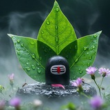 Telegram profile photo for ‼️ शिवशक्ति ‼️