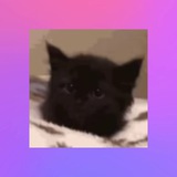 Telegram profile photo for Таро 💍🌊🧊🍾🥢🥂🥋🎯🌌💸💶🧲⛓🗡🧿🕳🧬💊💉🖤