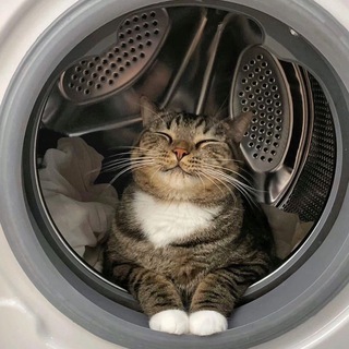 Telegram profile photo for Котовище