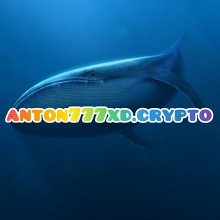 Telegram profile photo for anton777xd.crypto | fx {🐋}