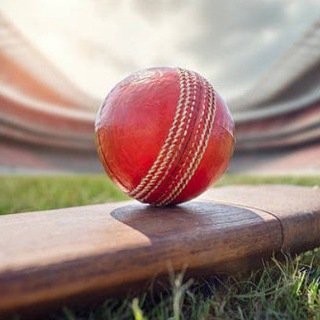 Telegram profile photo for Paid Cricket Prediction π