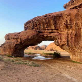 Telegram profile photo for اللحـــيه الغانـــمه