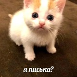 Telegram profile photo for Слова словечки