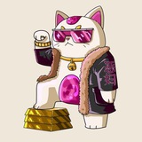 Telegram profile photo for CTO
