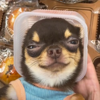Telegram profile photo for ιζ₯π²εΏπδΉε°