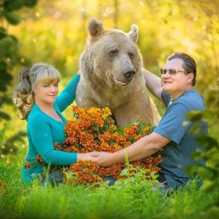 Telegram profile photo for Stepan🐻Savva🐻TheBear