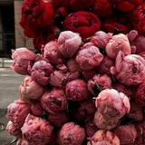 Telegram profile photo for Просто красиво🌹 Эстетика 🌹