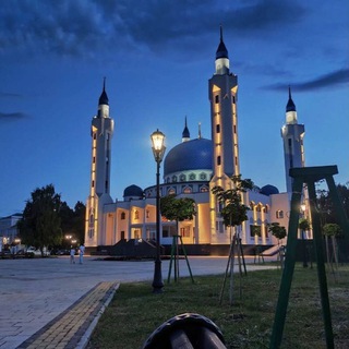 Telegram profile photo for в Майкопе любят
