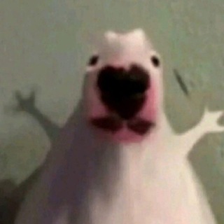 Telegram profile photo for сохры(лакомлюсь)