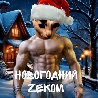 Telegram profile photo for Zekom