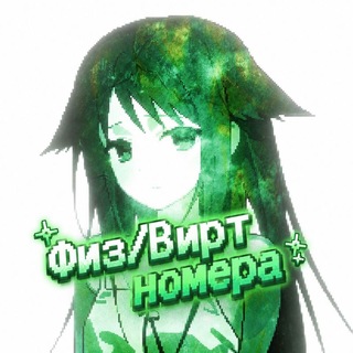 Telegram profile photo for Физ/Вирт номера