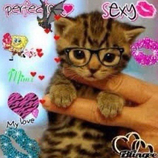 Telegram profile photo for {18+}Что-то от Кто-то🥩 {18+}