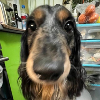 Telegram profile photo for культ хуйни малины