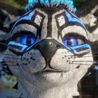Telegram profile photo for DragonPlayer's Cave (SFW)