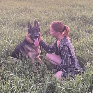 Telegram profile photo for непозитивные новости