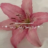 Telegram profile photo for أَثرٌ بَاقٍ .