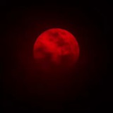 Telegram profile photo for Full Moon.