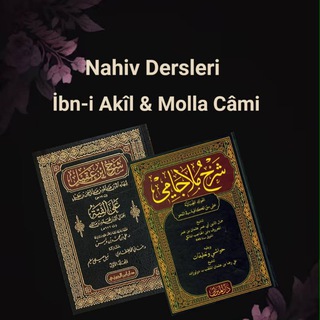 Telegram profile photo for Nahiv Dersleri (Yusuf Selami Hoca)
