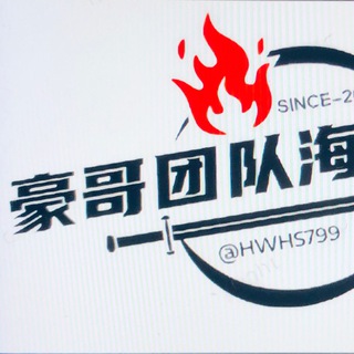 Telegram profile photo for 豪哥团队~海外源头官方号商