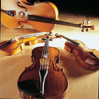 Telegram profile photo for String quartet arrangements