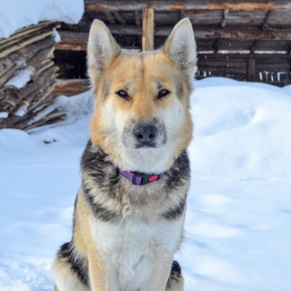 Telegram profile photo for 𝐕𝐄𝐎.𝐇𝐀𝐍𝐓𝐈