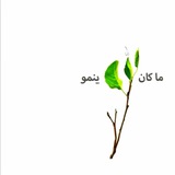 Telegram profile photo for ما كانَ لله ينمو