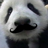 Telegram profile photo for astzz's important wins