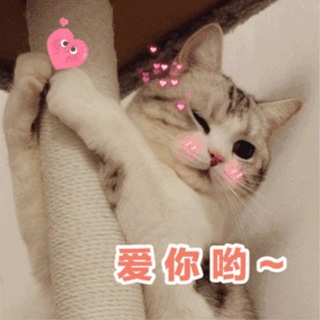Telegram group profile photo for 拉手交流群
