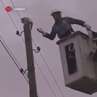 Telegram profile photo for мой вам коммент