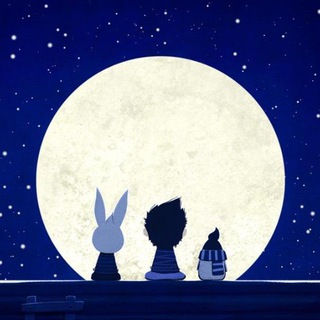 Telegram profile photo for Tothemoon World