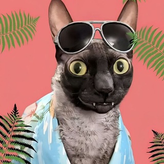Telegram profile photo for потом придумаю
