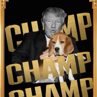 Telegram profile photo for champ