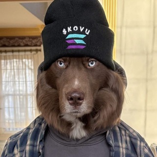 Telegram profile photo for Kovu PORTAL