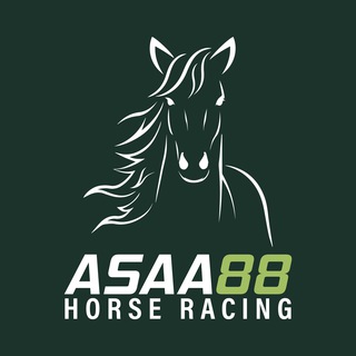 Telegram profile photo for Asaa88 Horse Racing
