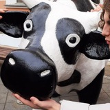 Telegram profile photo for Почему Женя.?