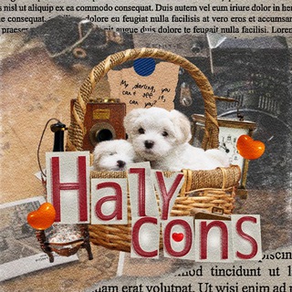 Telegram profile photo for Halycons ♡
