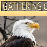 Telegram profile photo for Gathering of Eagles