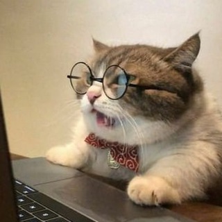 Telegram profile photo for ВДО мемы