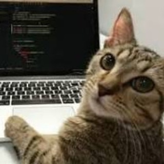 Telegram profile photo for Kronos Dev