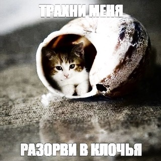 Telegram profile photo for NËRVEN