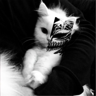 Telegram profile photo for ππ©π²π¬π―π¦π±π’ πππ«π’π©π’ π¦