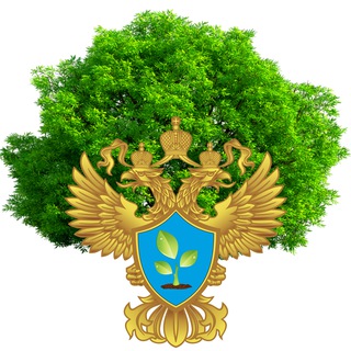 Telegram profile photo for ☣️Экологическая безопасность Невского края