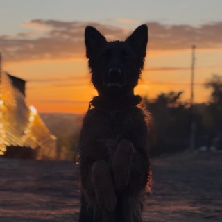 Telegram profile photo for Daira.GSD