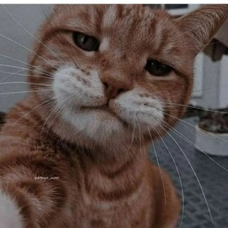 Telegram profile photo for هذا البؤس لن ينتهي أبداً🙂💔.