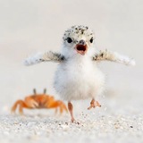 Telegram profile photo for Щп Такума