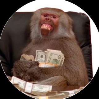 Telegram group profile photo for MonkeCEO Solana