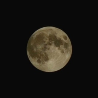 Telegram profile photo for уроки филологии