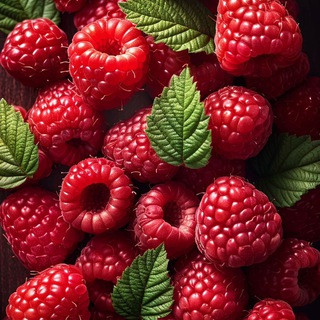 Telegram profile photo for База 24/7