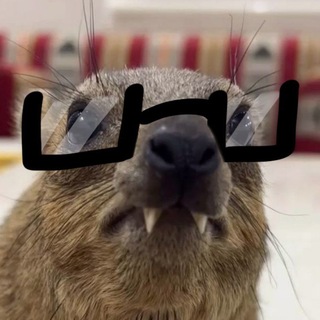 Telegram profile photo for губка для каструлі. 16+